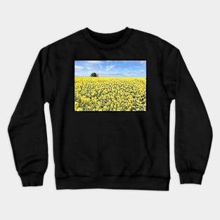 Cotswolds Rapeseed Field Crewneck Sweatshirt